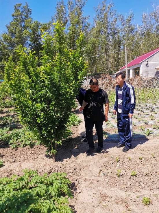 长岭县税务局扎实开展“万名干部大走访”活动