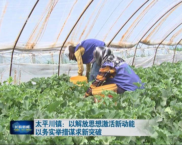 长岭县太平川镇：以解放思想激活新动能 以务实举措谋求新突破