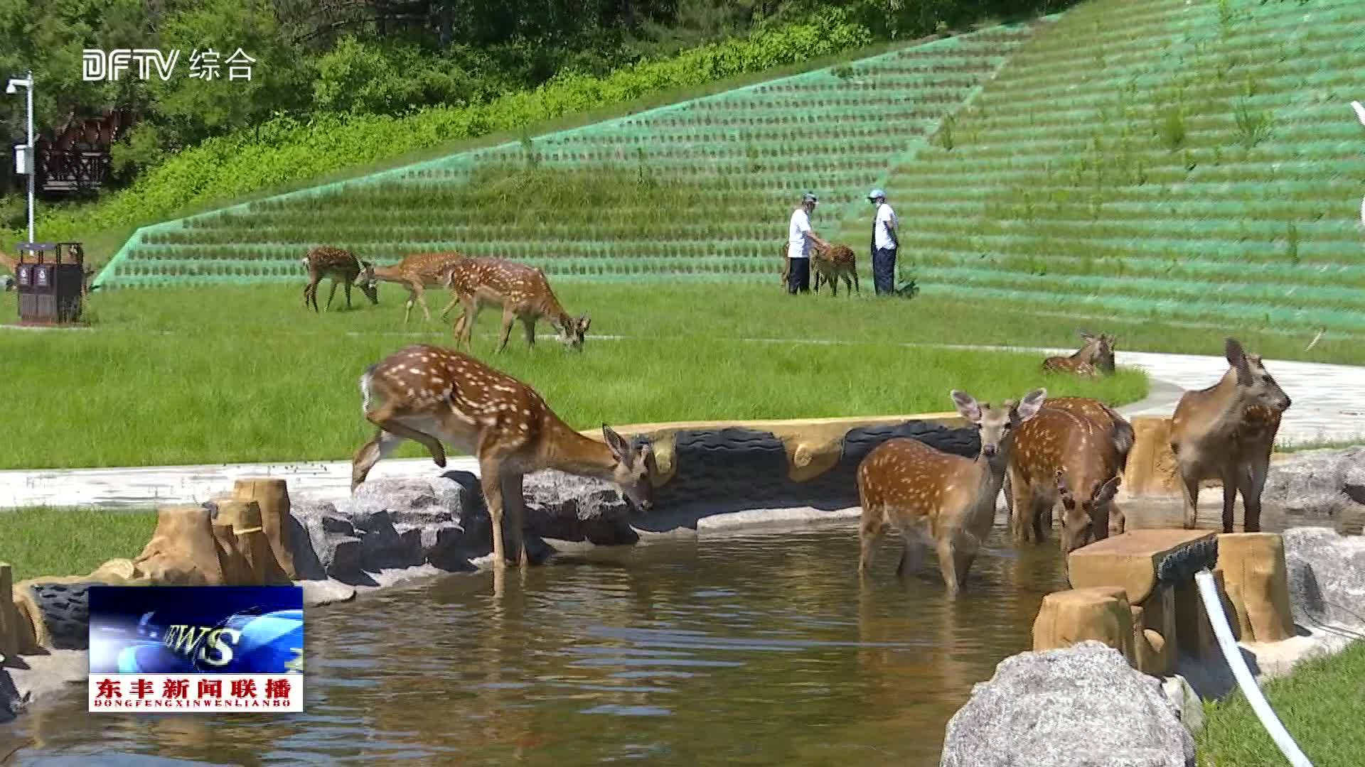 【坚定步伐 迎接春天】网红直播引流 带动经济给力