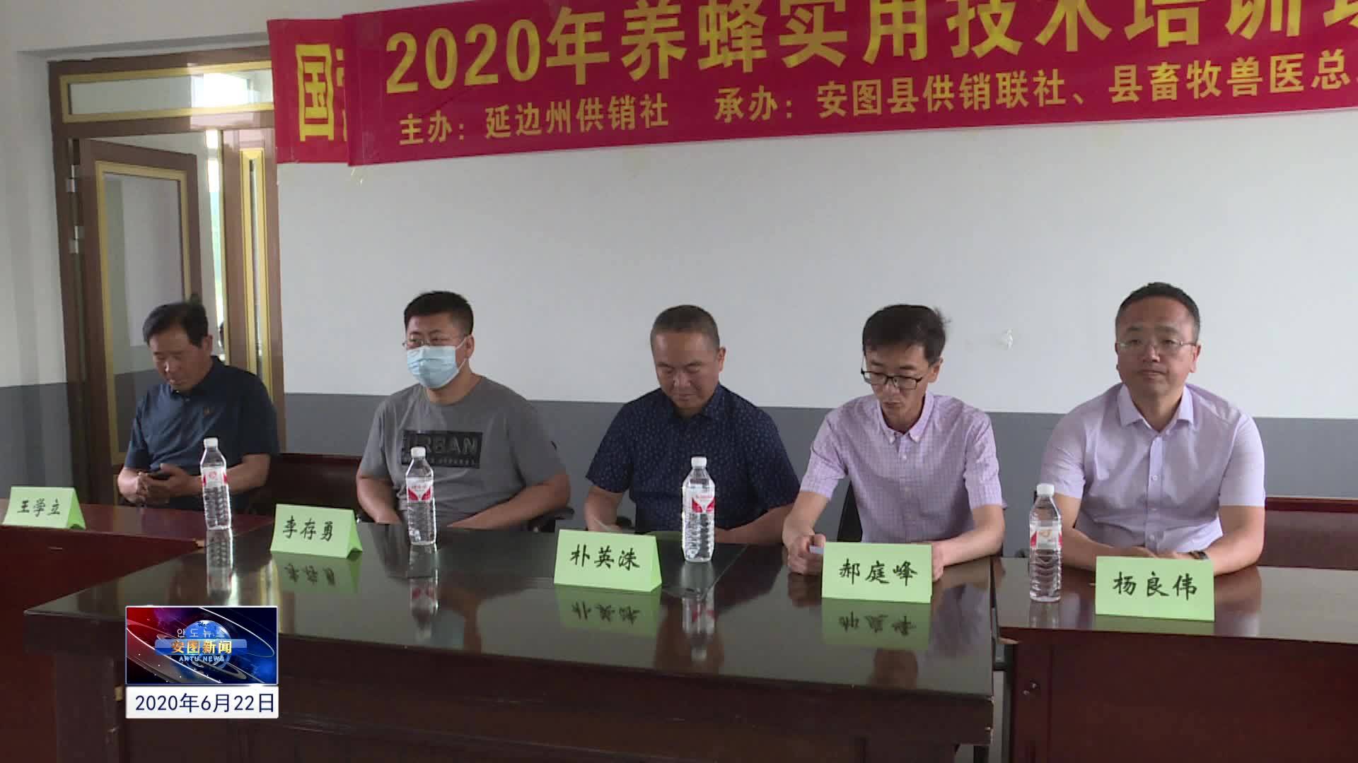2020.6.22安图新闻第146期