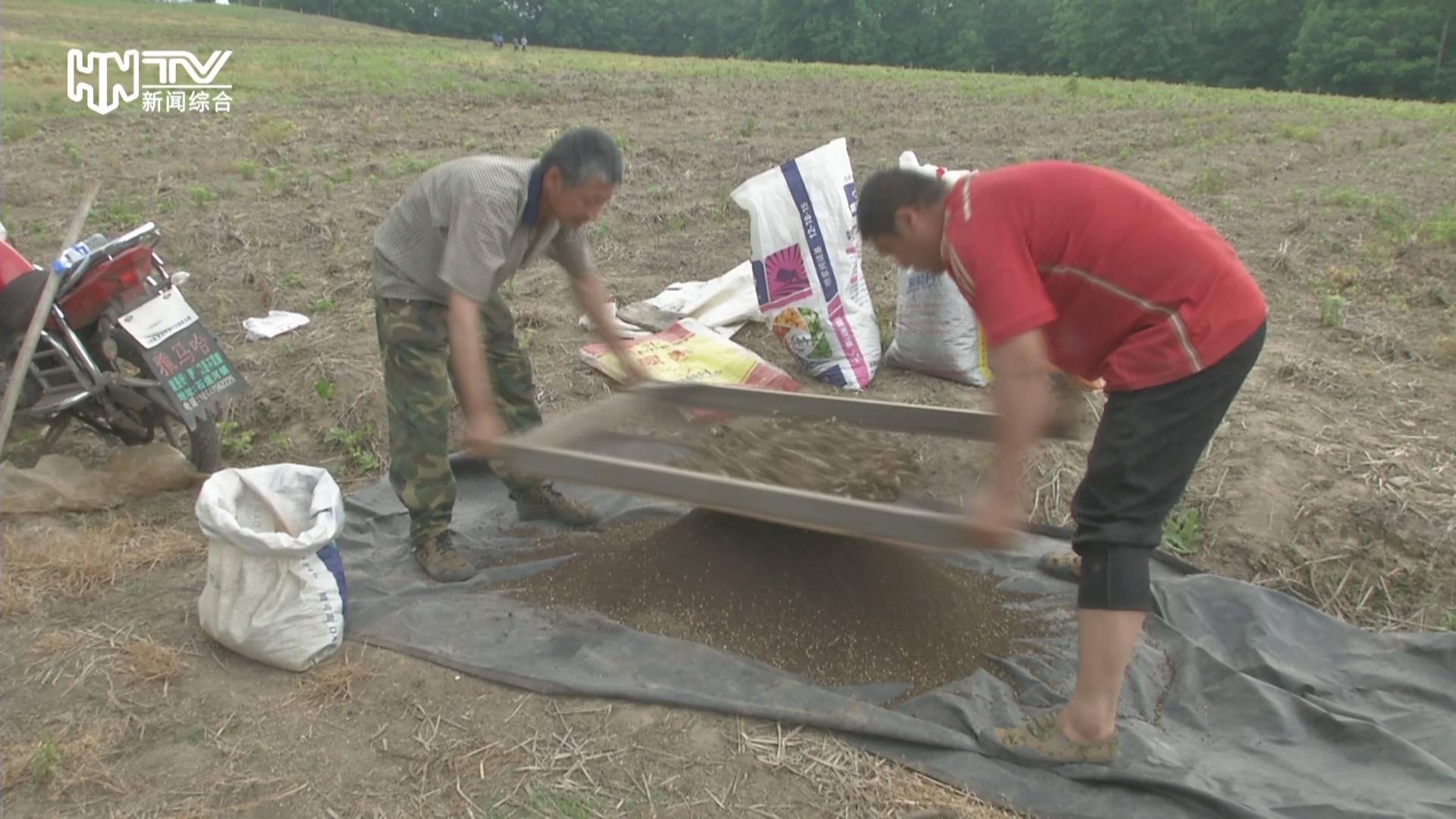 石道河镇：扶贫产业迎来丰收季