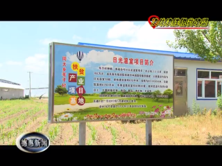 同太乡苇子村：发展大棚瓜菜壮大村集体经济
