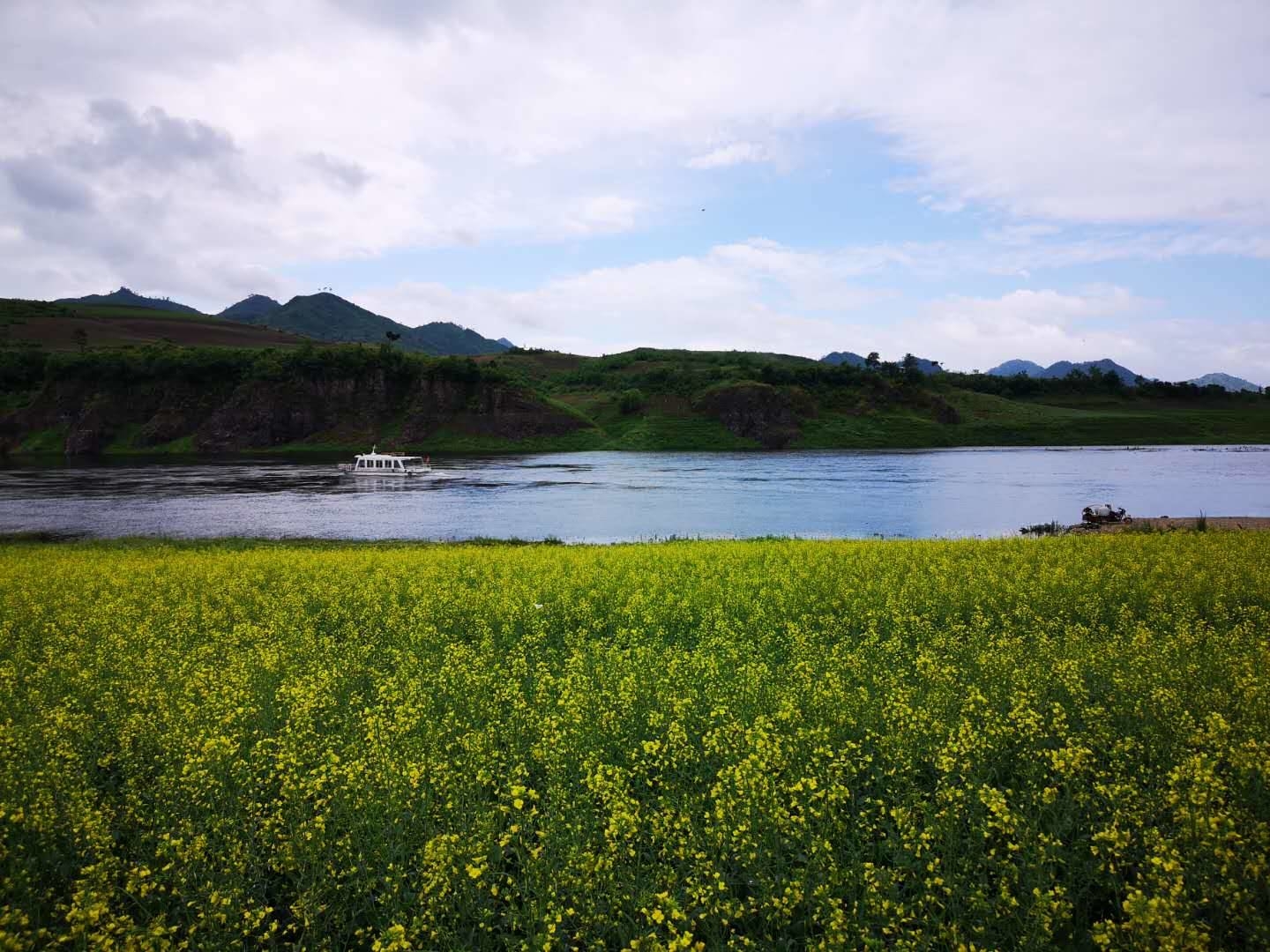 集安万亩油菜花海待客来