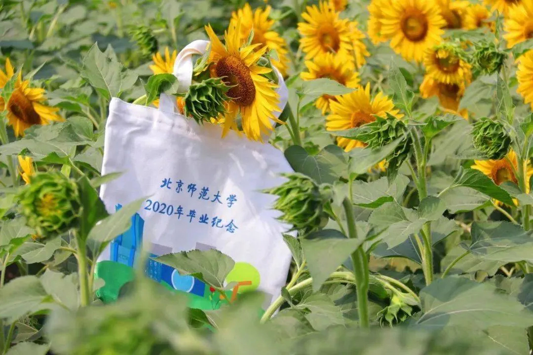 日常柠檬！高校毕业礼大比拼…