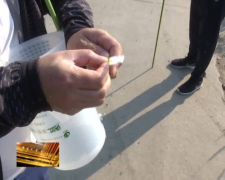 我县防水稻病虫害出新招