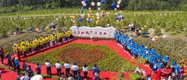 天池圣水浇灌战疫英雄林，“最美逆行者”情定长白山