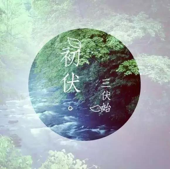 初伏至|关于初伏,你知道多少