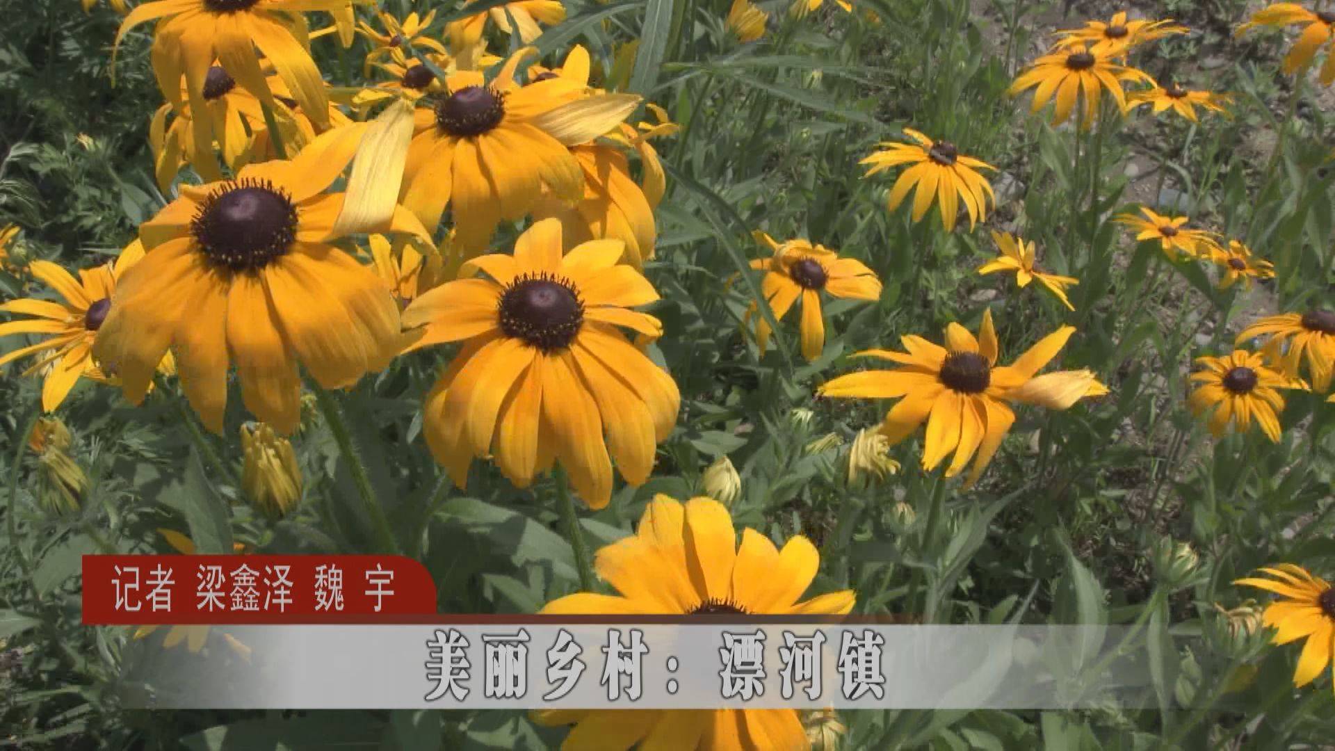 【干干净净迎小康】美丽乡村：蛟河市漂河镇