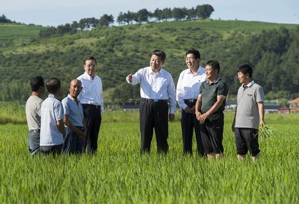 在奋斗奔跑中书写幸福延边新答卷