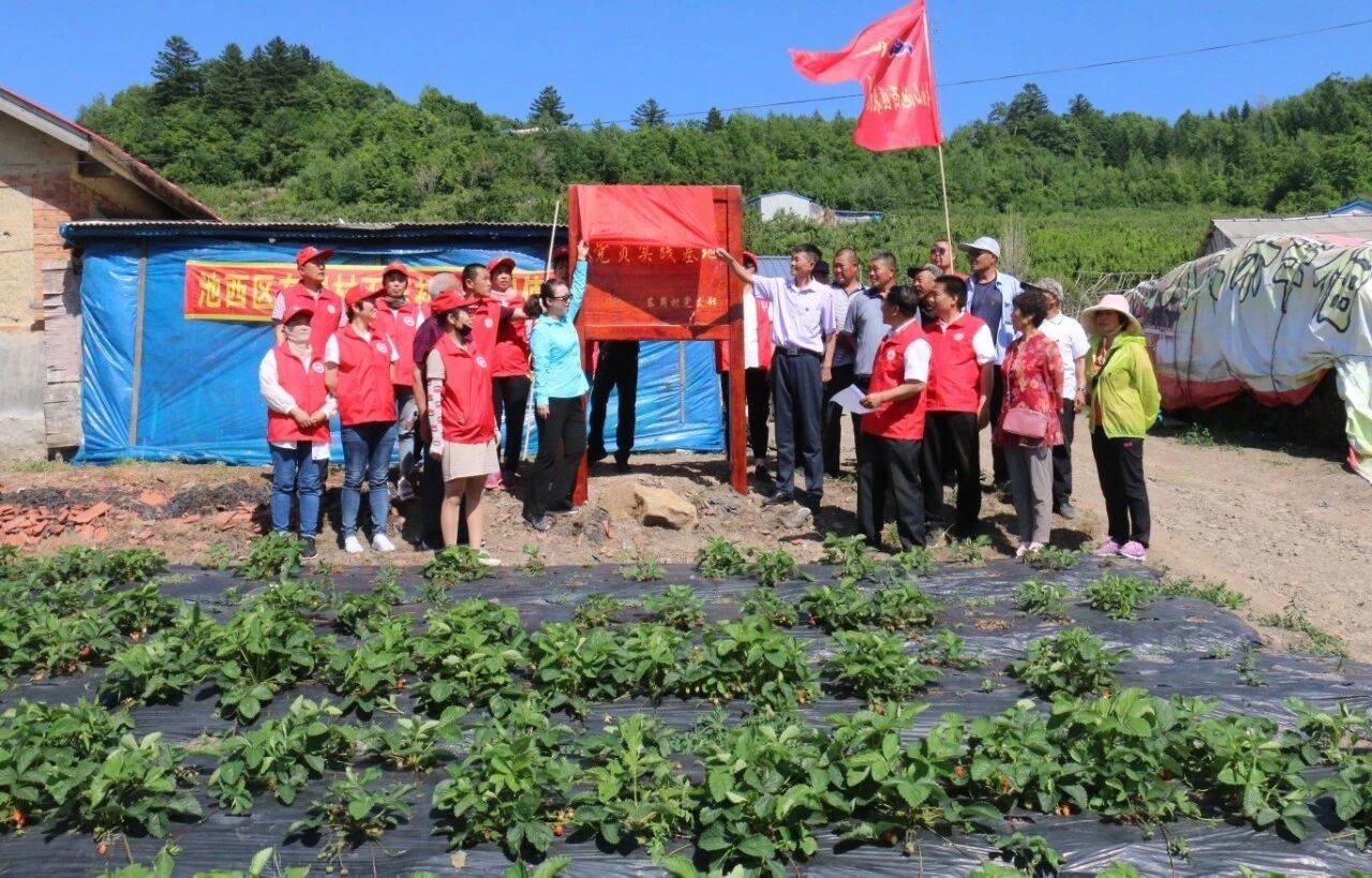 《决胜全面小康》栾艳新：提升服务　保稳防贫　东岗村决战决胜脱贫攻坚