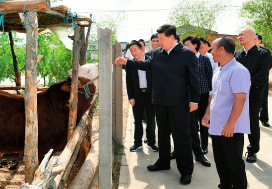 习近平的脱贫方略