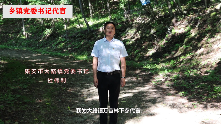 【吉林集安】大路镇党委书记为林下参代言