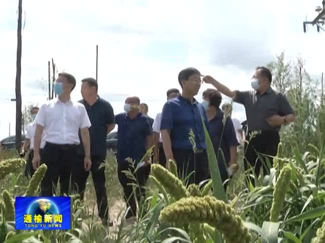 【决战决胜脱贫攻坚】副市长孙志刚来我县调研易地扶贫搬迁土地复垦工作