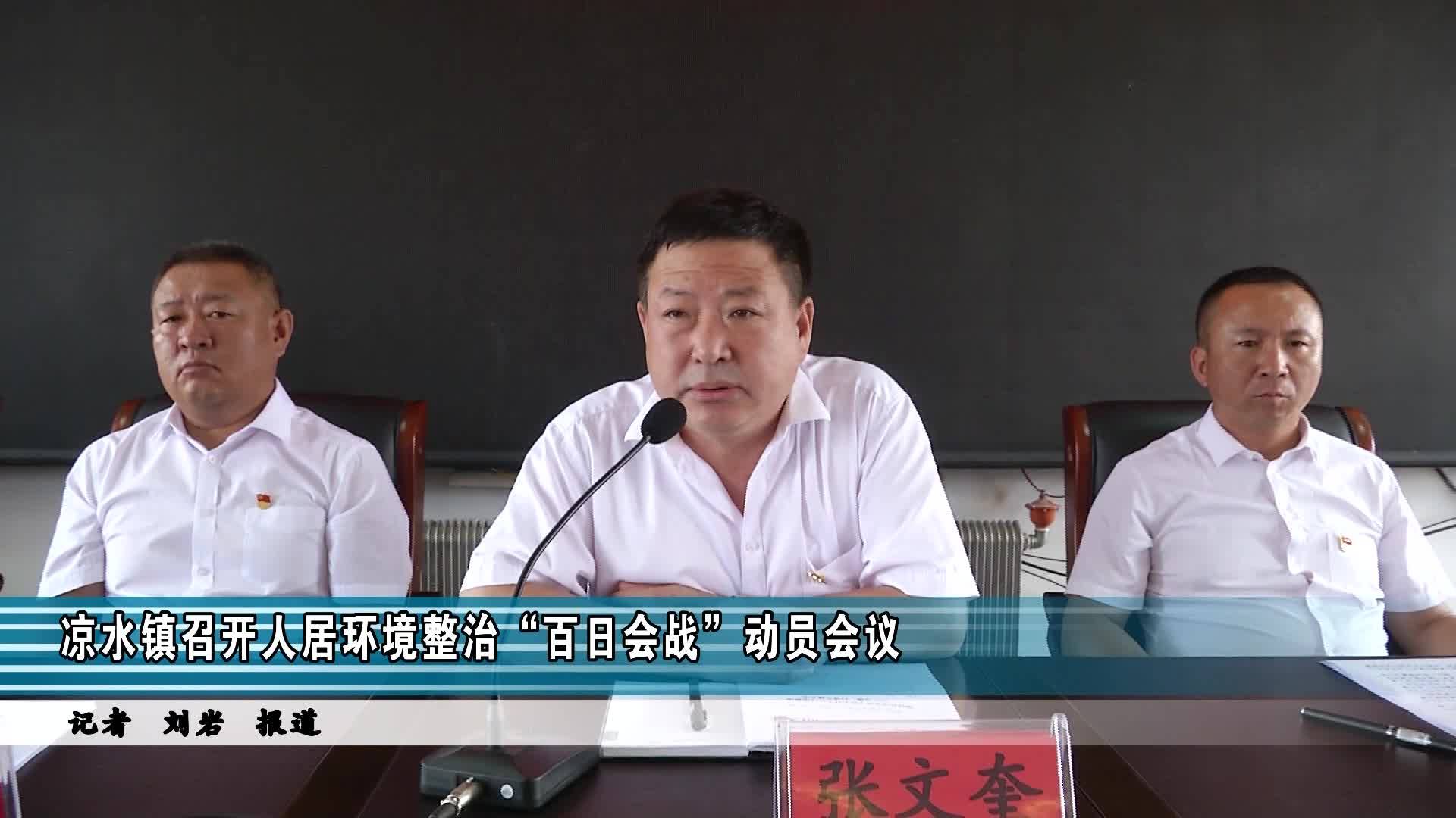 【柳河新闻】  凉水镇召开人居环境整治“百日会战”动员会议