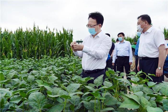 景俊海：始终牢记习近平总书记殷殷嘱托 加快长平一体化协同发展步伐