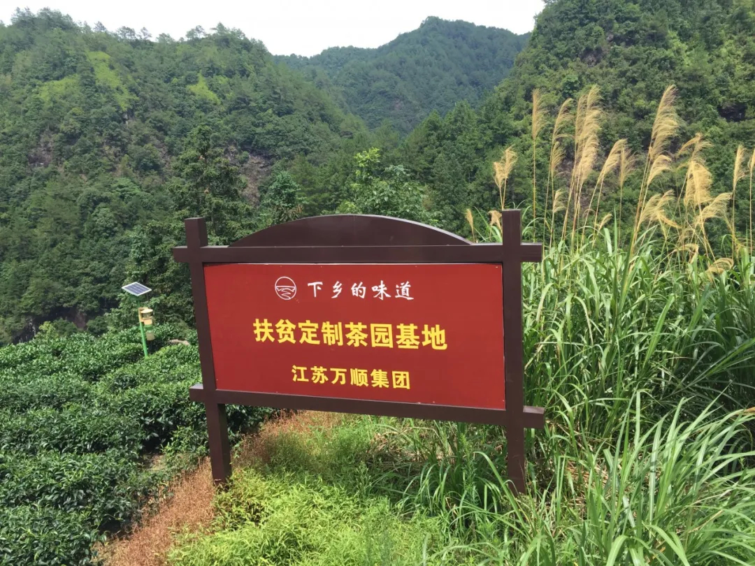 向总书记汇报，您亲手种下的“扶贫种子”长成了小康大树