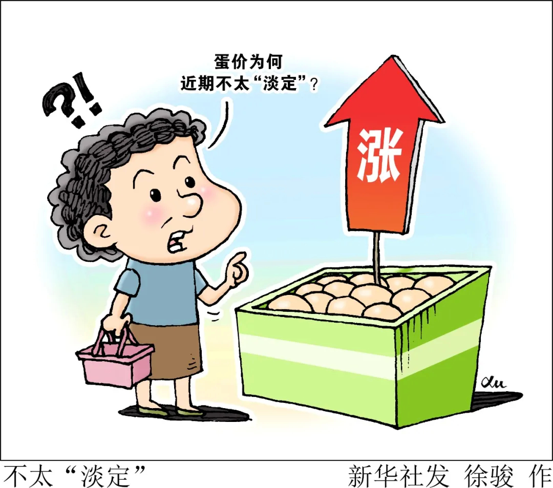 蛋价，“淡定”？蛋价，“淡定”！