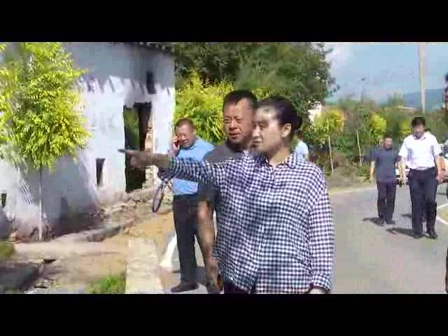 【柳河新闻】庄亚男到部分乡镇调研农村人居环境整治工作