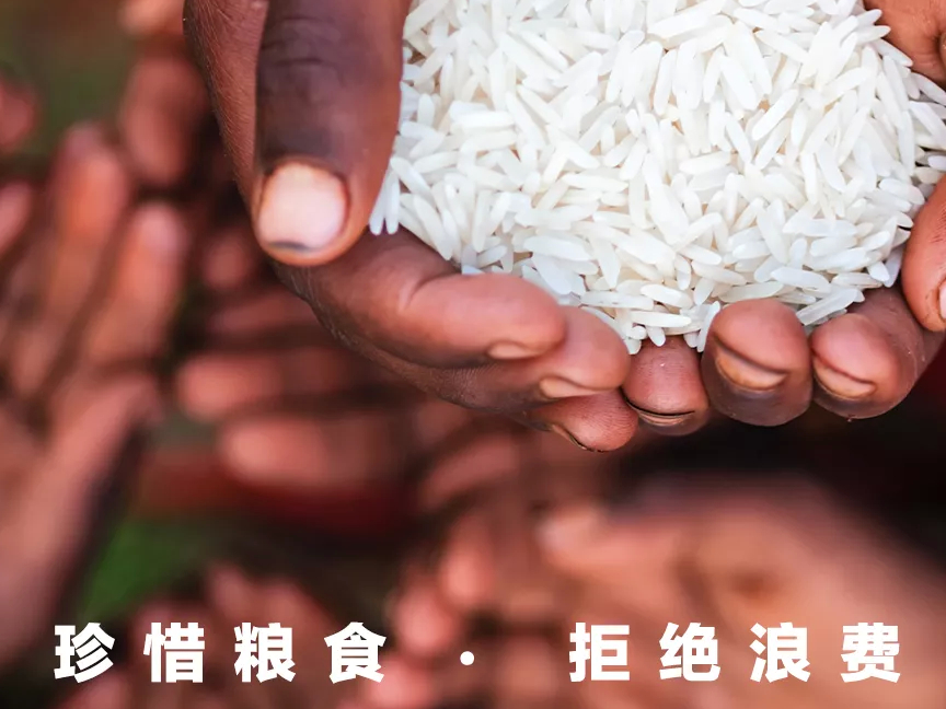 你浪费了多少粮食？这组数字，触目惊心！