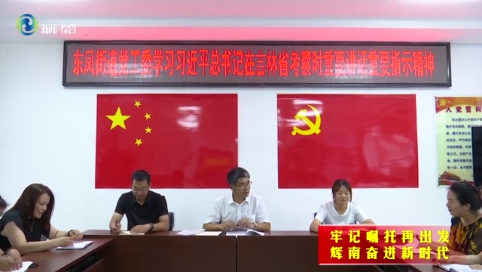 东凤街道：传达学习贯彻习近平总书记视察吉林重要讲话重要指示精神