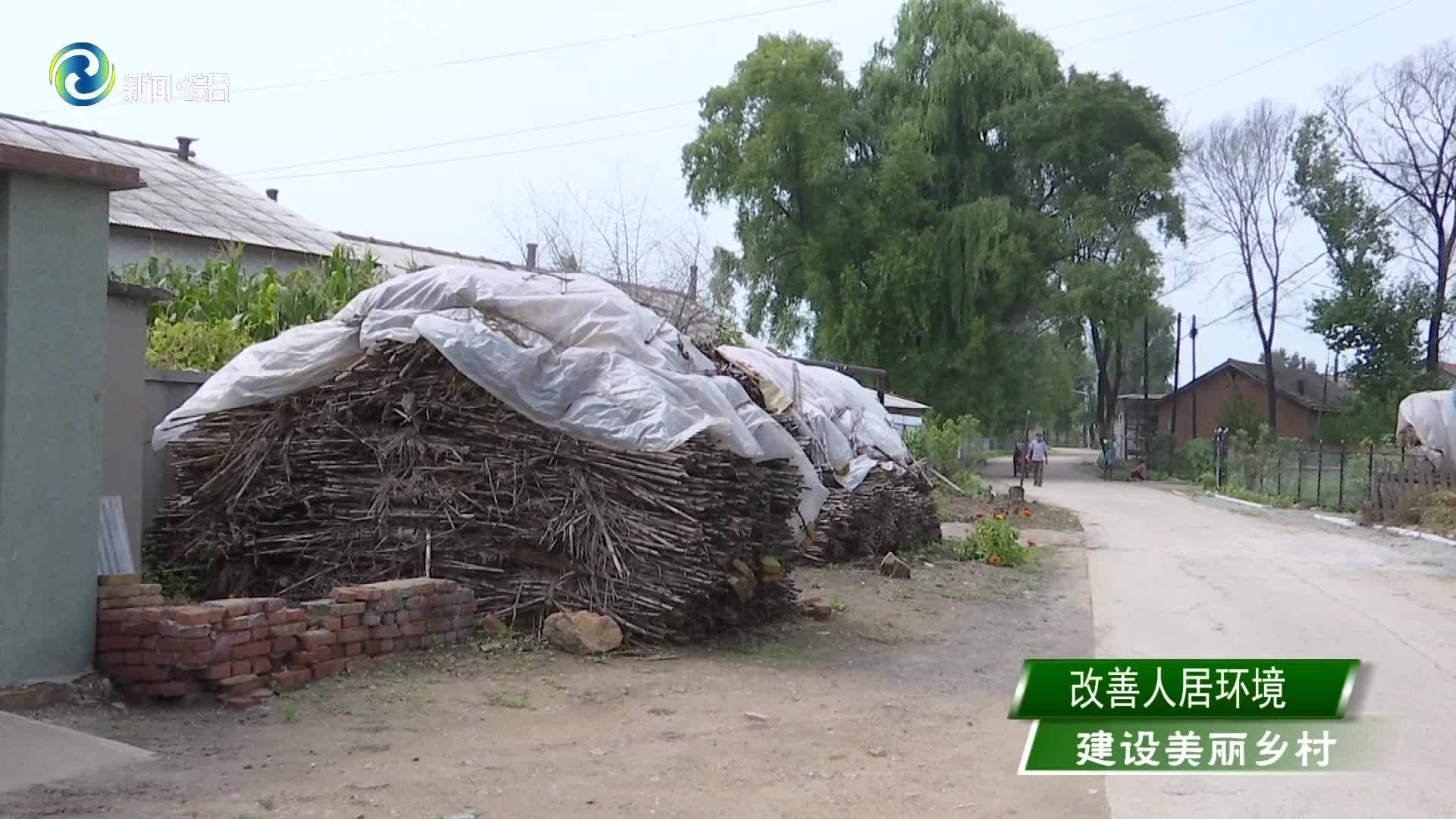 朝阳镇龙堡村龙安堡屯人居环境整治工作还需要进一步加强