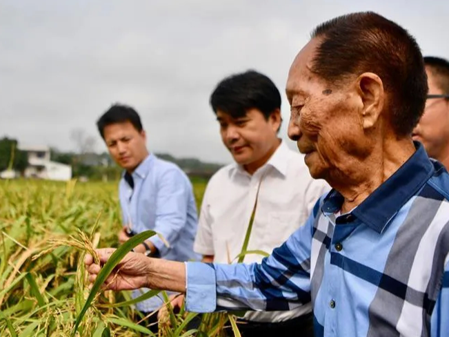 袁隆平：我带研究生有一个要求