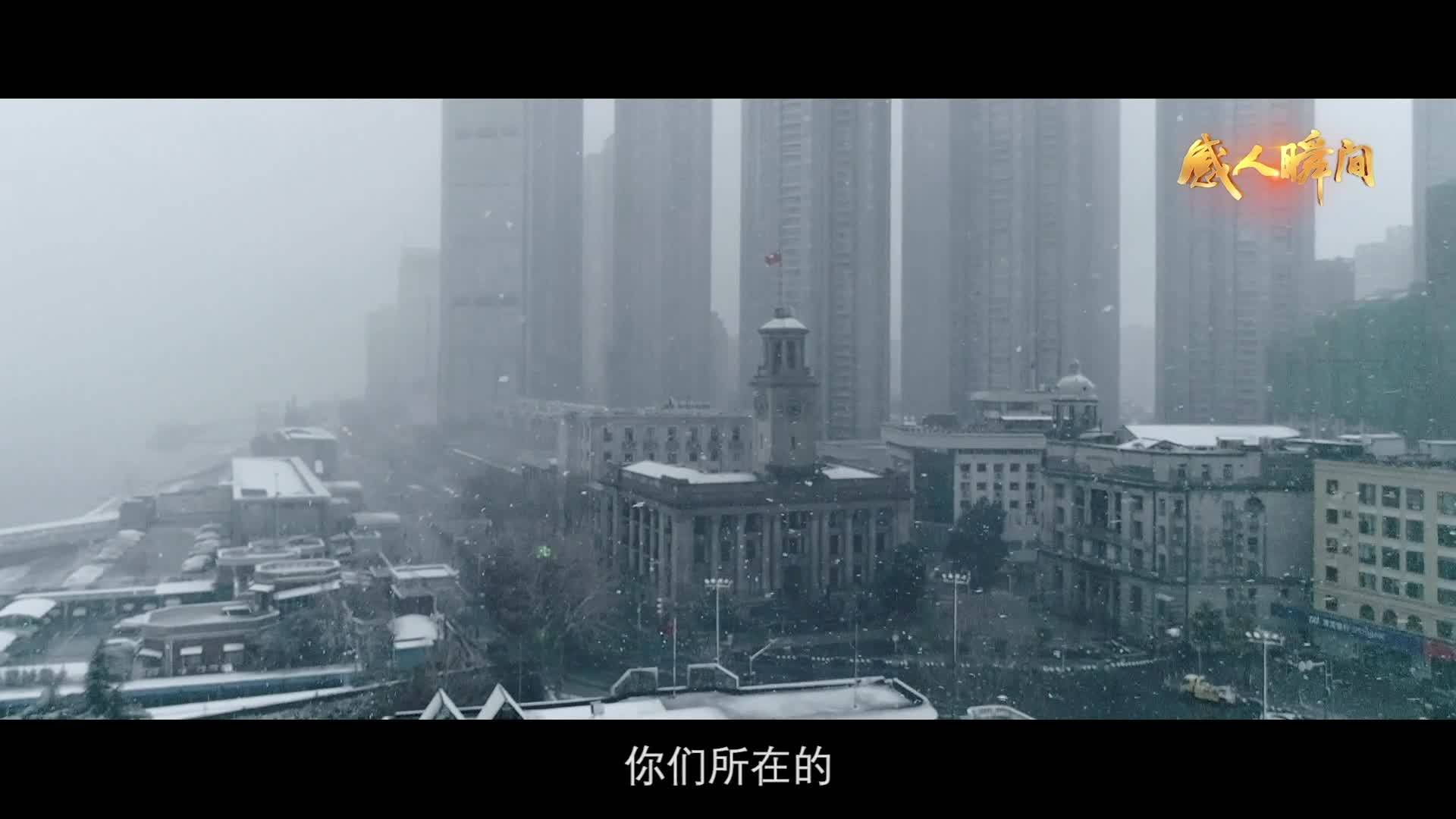 【“感人瞬间”微视频展播】萤火成炬 守护希望