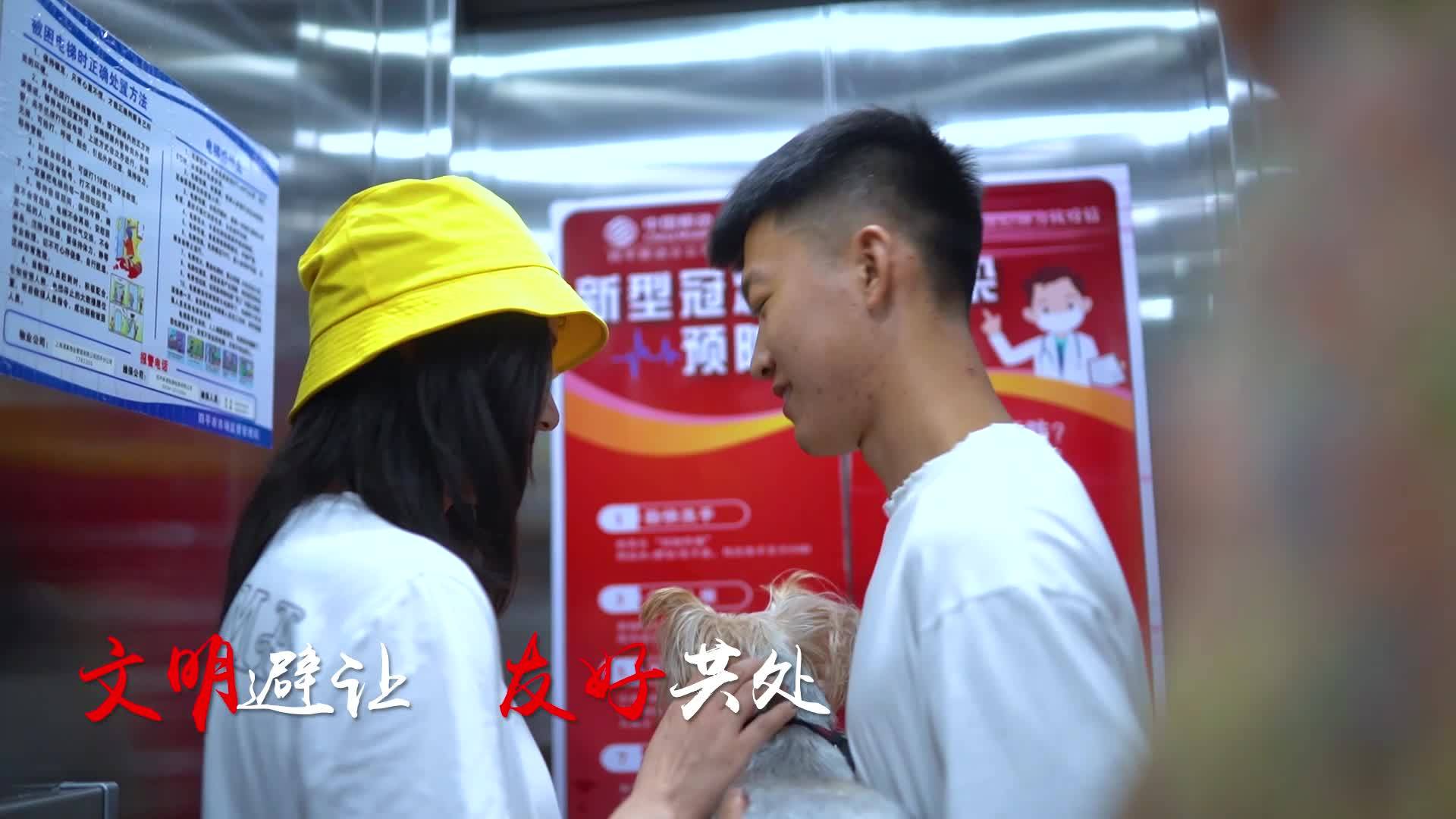 公益宣传片 | 文明养犬