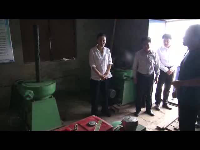 【柳河新闻】庄亚男检查指导防汛防台风工作