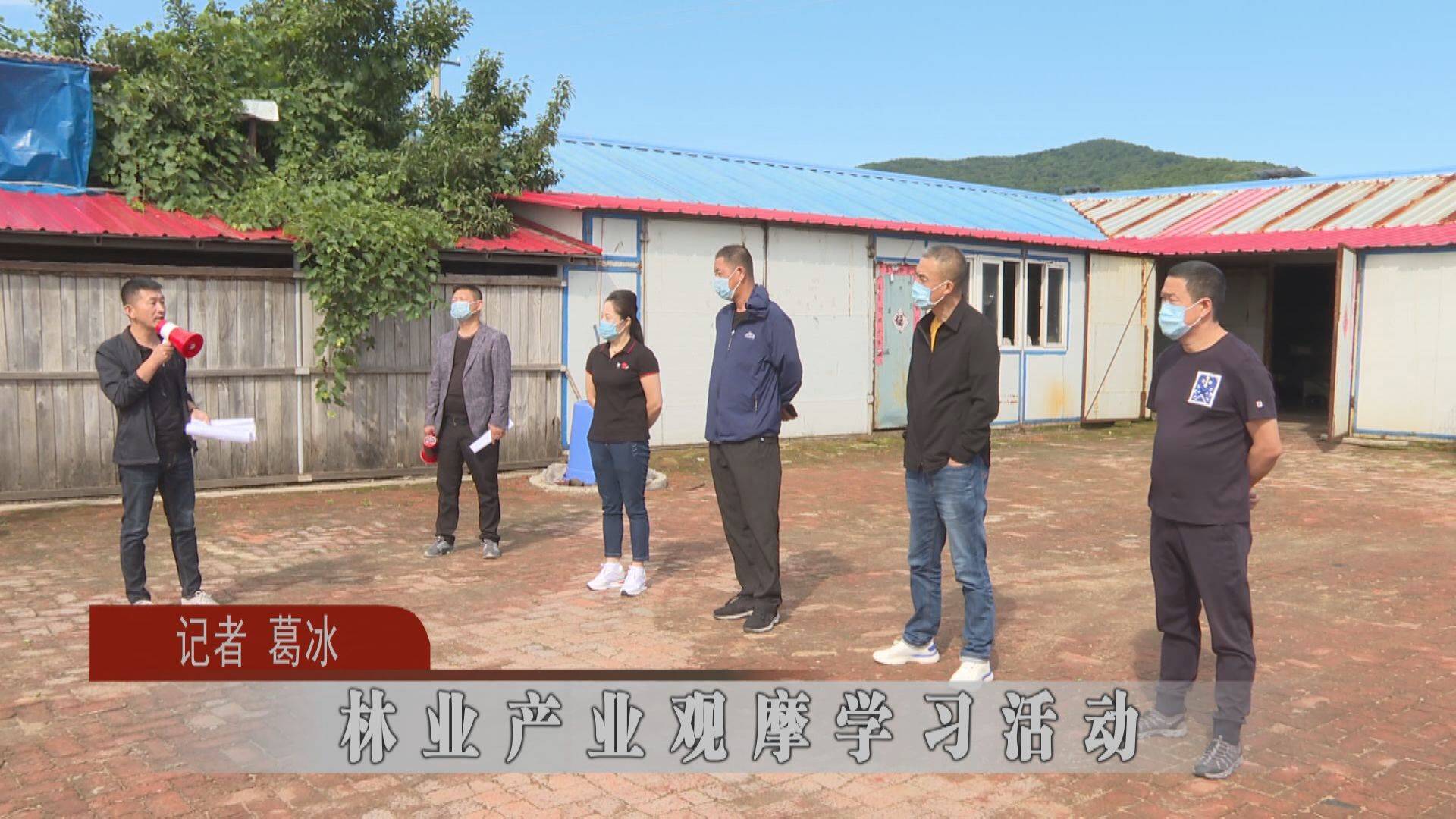 蛟河：林业产业观摩学习活动
