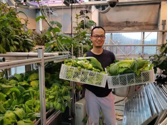 南极上的医生在干啥？种菜！