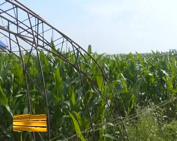 庭院经济成为达里巴乡贫困户脱贫新动力
