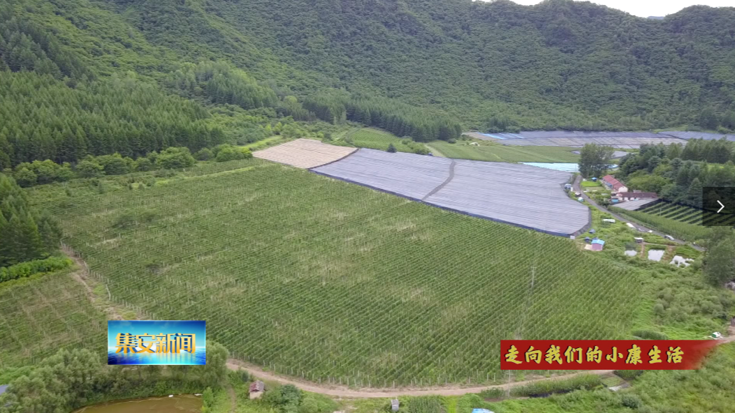 【集安】产业有甜头 生活有奔头 山城村的脱贫新生活