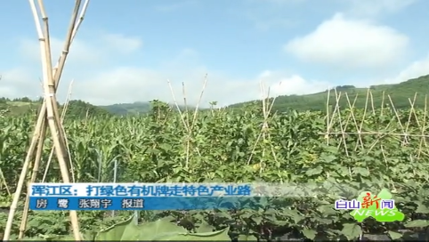 白山新闻联播2020年08月30日
