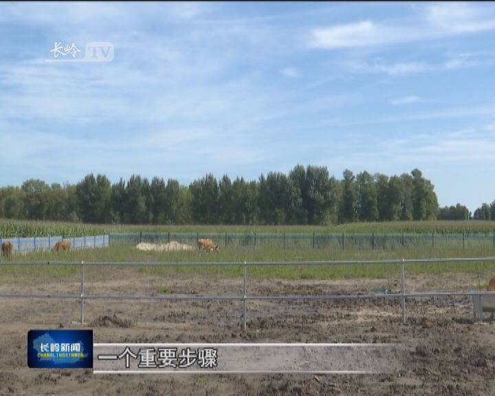 长岭新闻2020年9月3日