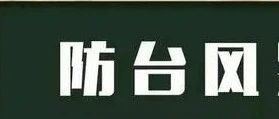 龙井市教育系统多措并举做好防御台风工作