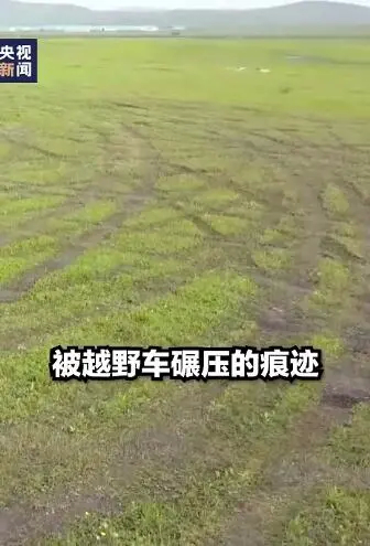 男子飚车碾压草原，被罚种回去！网友：等一个种草视频