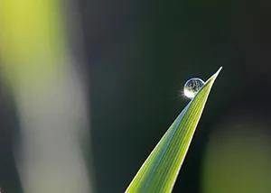 白露至！“海神”携风雨来袭，8日东北将迎大降温！