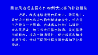 视频快讯丨因台风造成主要农作物倒伏灾害的补救措施