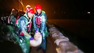 【微视频】朝阳河三道湾段水势上涨  党员干部消防队员冲在前