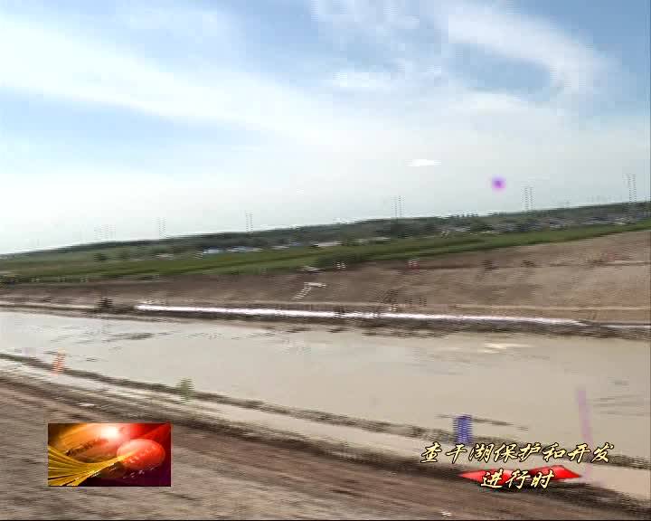 《查干湖保护和开发进行时》：苏家泡与六家泡湿地恢复工程将于9月26日前通水