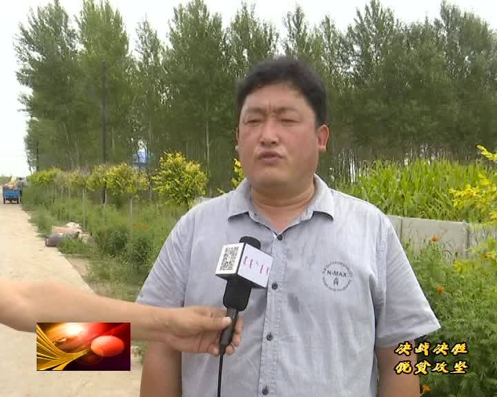 《决战决胜脱贫攻坚》：小小黑玉米 增收大本事