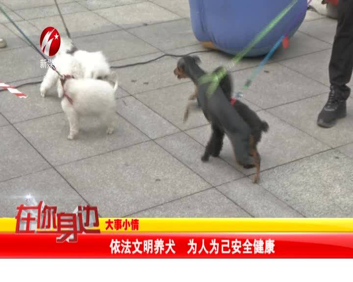 依法文明养犬 为人为己安全健康