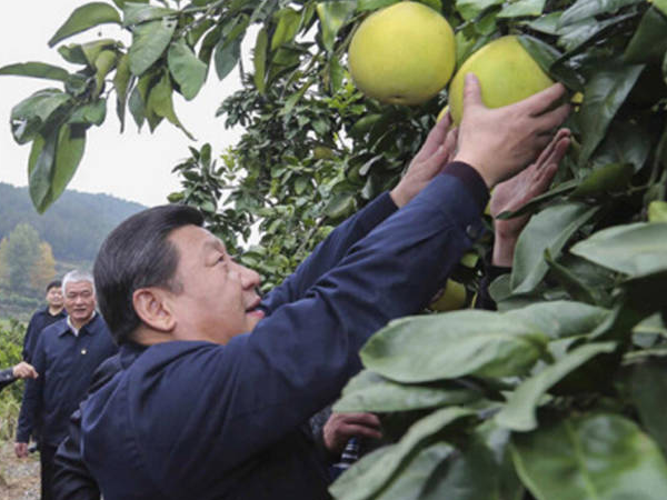 联播+ | 情牵三湘 习近平在湖南的那些暖心瞬间