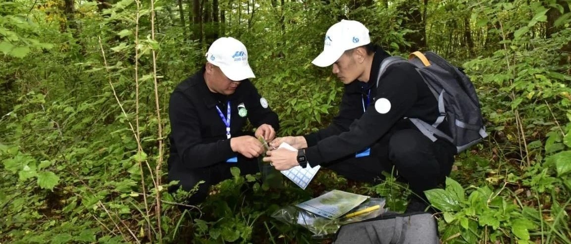 自然保护地生物多样性保护竞技赛在长白山举行