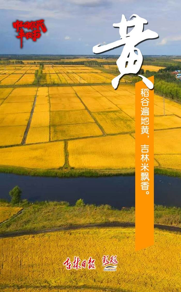 赤橙黄绿青蓝紫，这就是丰收的颜色！