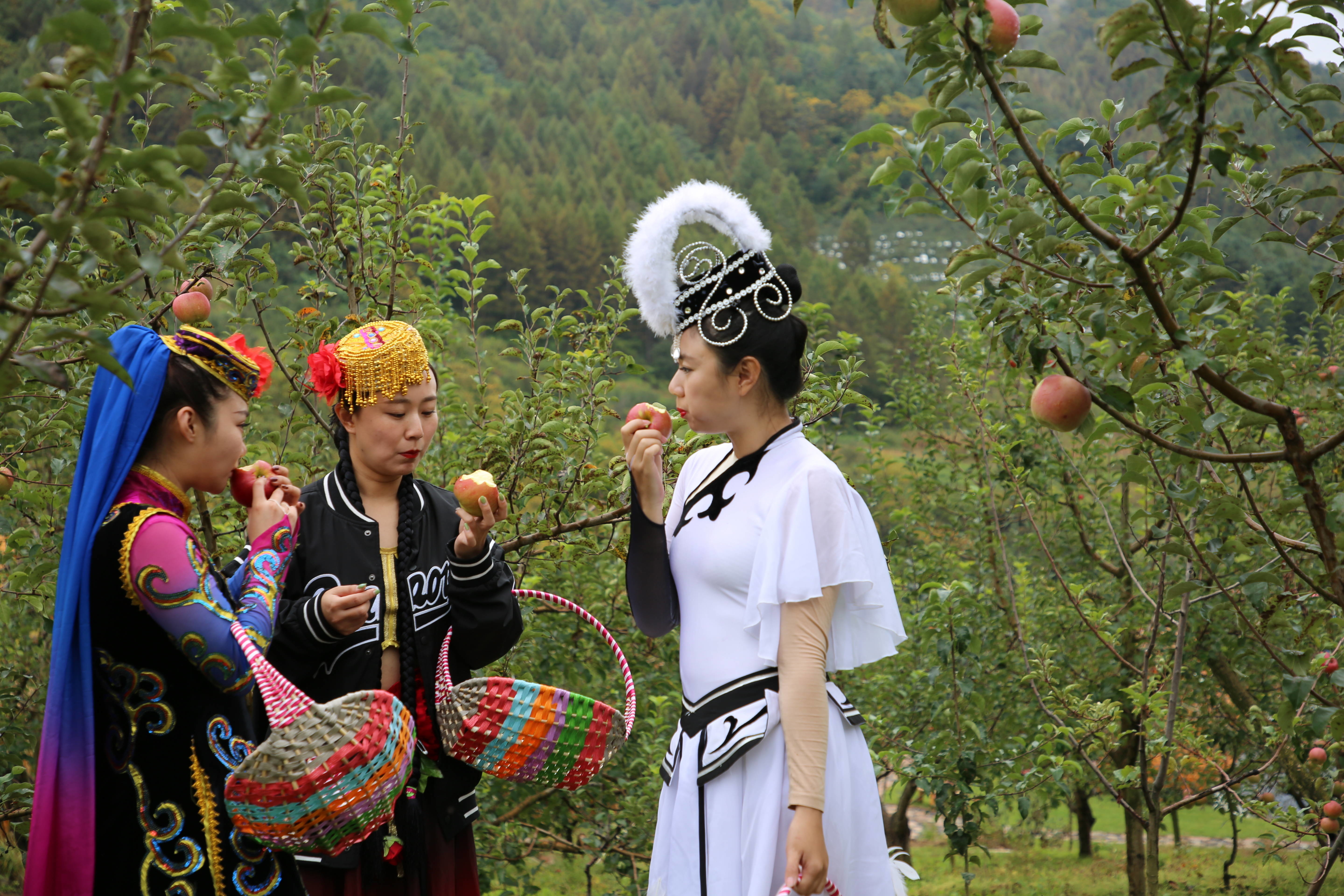 钱湾村夹皮沟水果采摘节暨果宿露营基地启动仪式