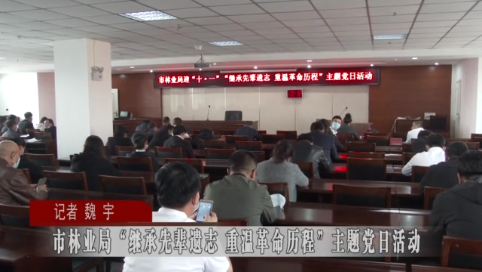 蛟河市林业局“继承先辈遗志 重温革命历程”主题党日活动