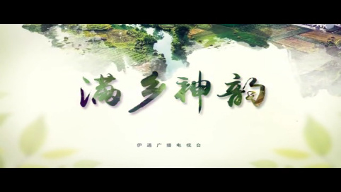 【满乡神韵】《代表风采》专栏