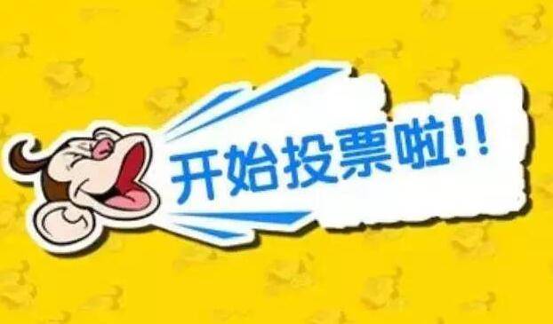 为白城镇赉县南湖投票啦！